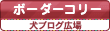 犬ブログ広場 ボーダーコリー